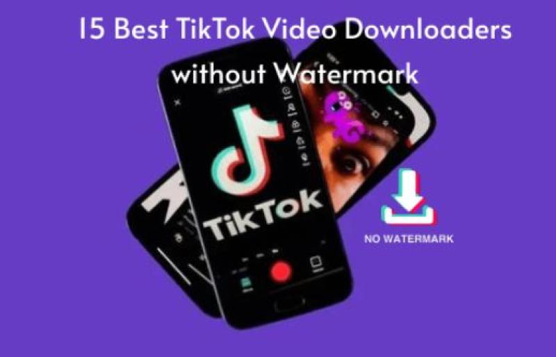 Bulk TikTok Downloader With Speed And Safety